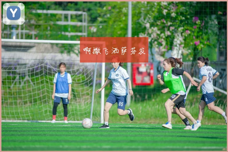 世界杯足球场面积是多少成为关注焦点 体育场标准尺寸解析