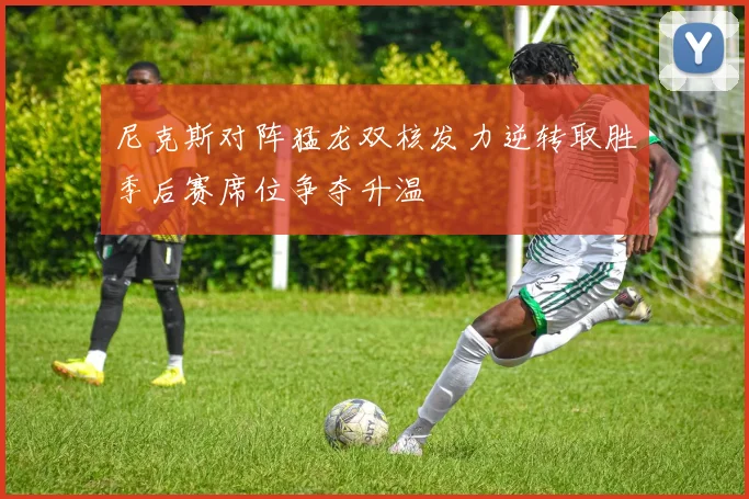 尼克斯对阵猛龙双核发力逆转取胜季后赛席位争夺升温