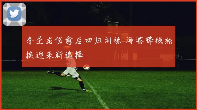 李圣龙伤愈后回归训练 海港锋线轮换迎来新选择