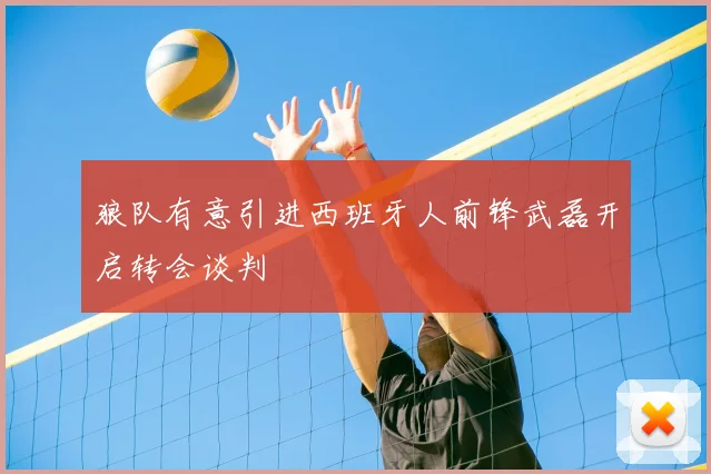 狼队有意引进西班牙人前锋武磊开启转会谈判