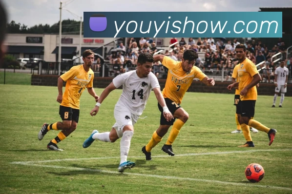 开云app官方入口网页版平台生态图